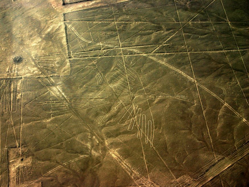 One of the Nazca lines shows a giant figured bird.